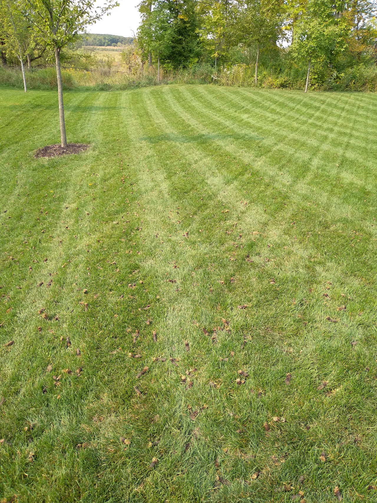 plug aeration service in Excelsior, MN
