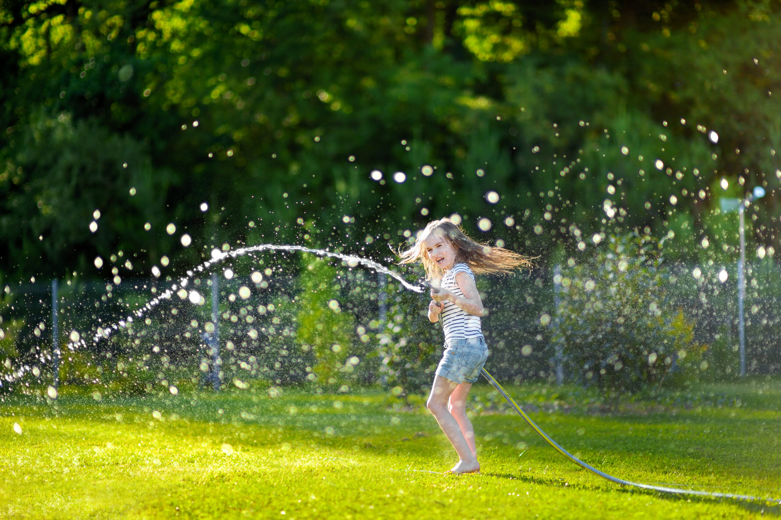 lawn insect control services in Minnesota