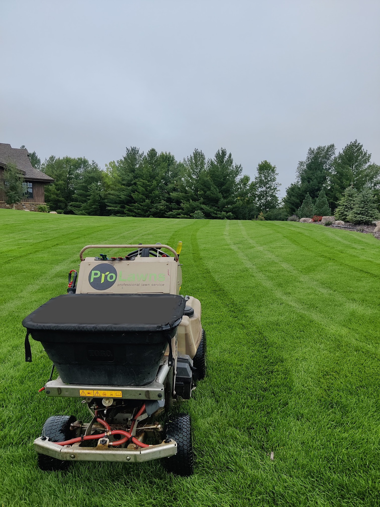 lawn-care-specialist-prolawns