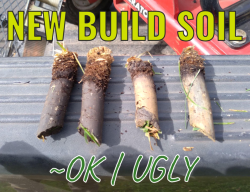 New Build Soil