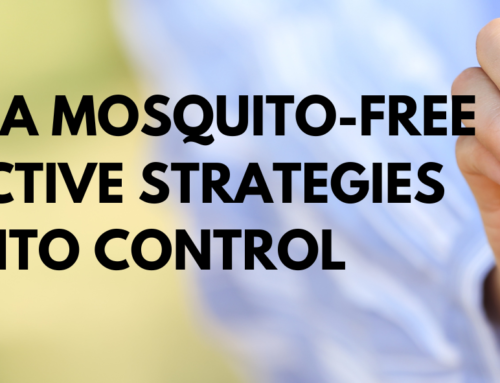 Experience a Mosquito-Free Lawn: Effective Strategies for Mosquito Control