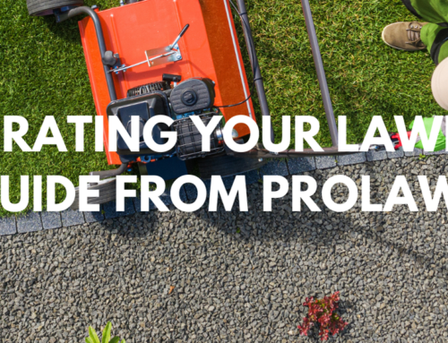 Aerating Your Lawn: A Guide from ProLawns