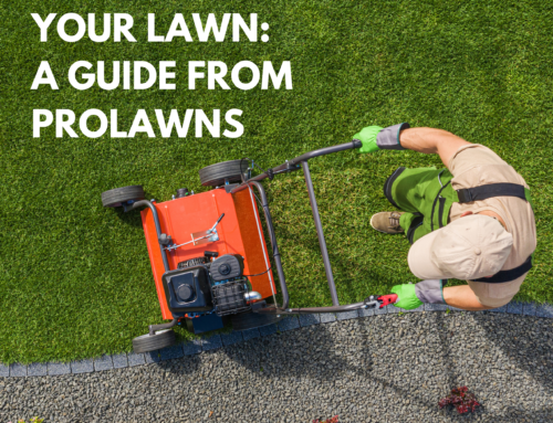 Aerating Your Lawn: A Guide from ProLawns