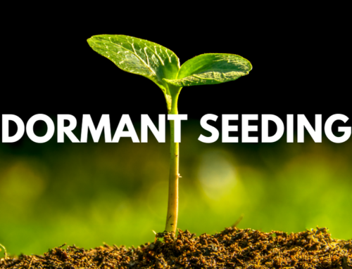 Dormant Seeding