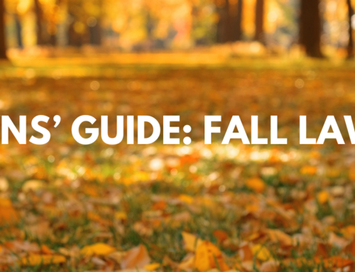 ProLawns’ Guide: Fall Lawn Care