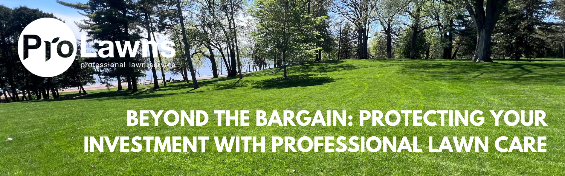 Beyond the Bargain Protecting Your Investment with Professional Lawn Care