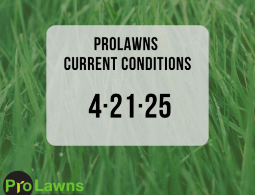 4/21/25